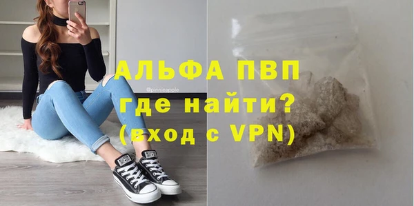 ПСИЛОЦИБИНОВЫЕ ГРИБЫ Белокуриха