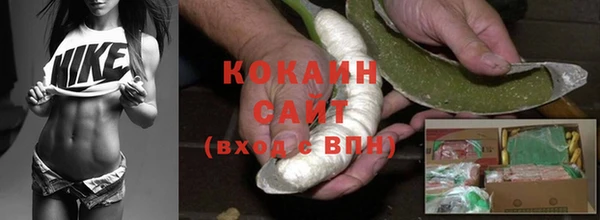 ПСИЛОЦИБИНОВЫЕ ГРИБЫ Белокуриха