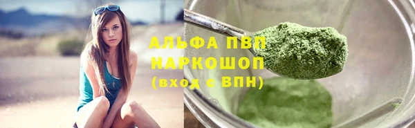ПСИЛОЦИБИНОВЫЕ ГРИБЫ Белокуриха